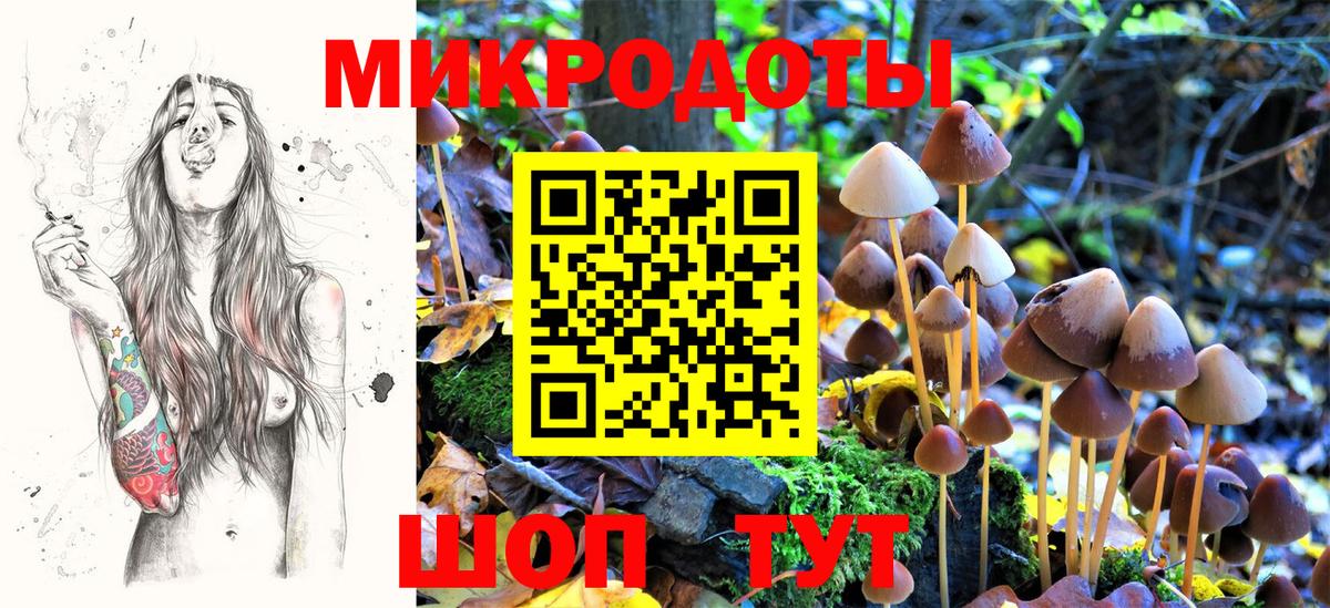 Галлюциногенные грибы MAGIC MUSHROOMS Людиново