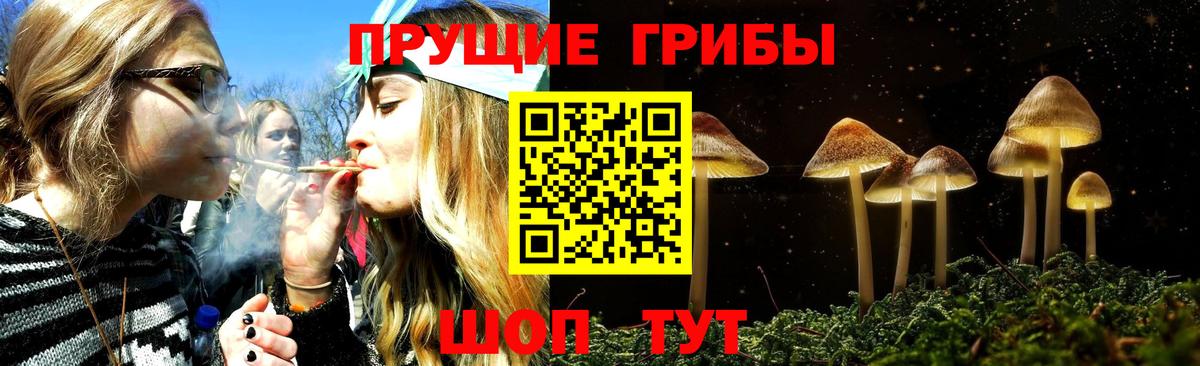 Людиново  Псилоцибиновые грибы мухоморы  Вход с VPN 